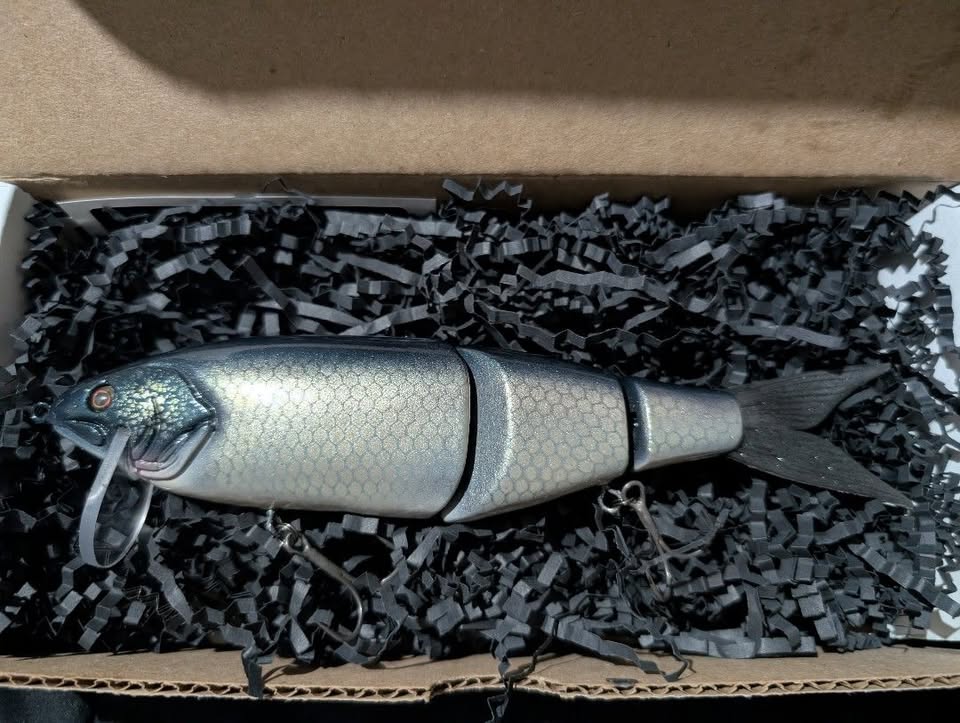 The Huntsman 3 Teal Back Shad "Lights"