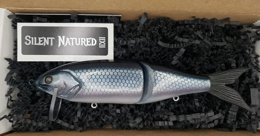 The Huntsman Blue back Shad "Heavies"